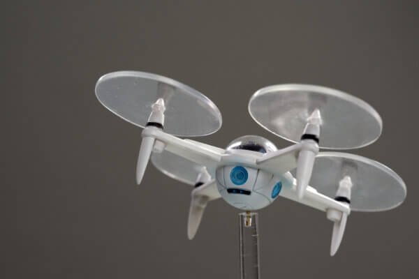 猫塚ヒビキ（応援団）